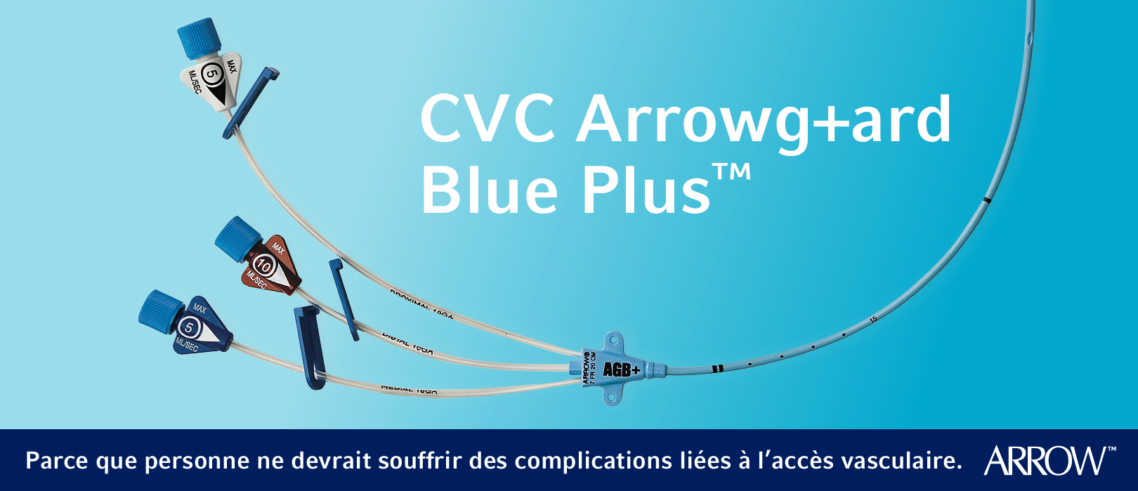 Arrowgard-Blue-Plus-CVC
