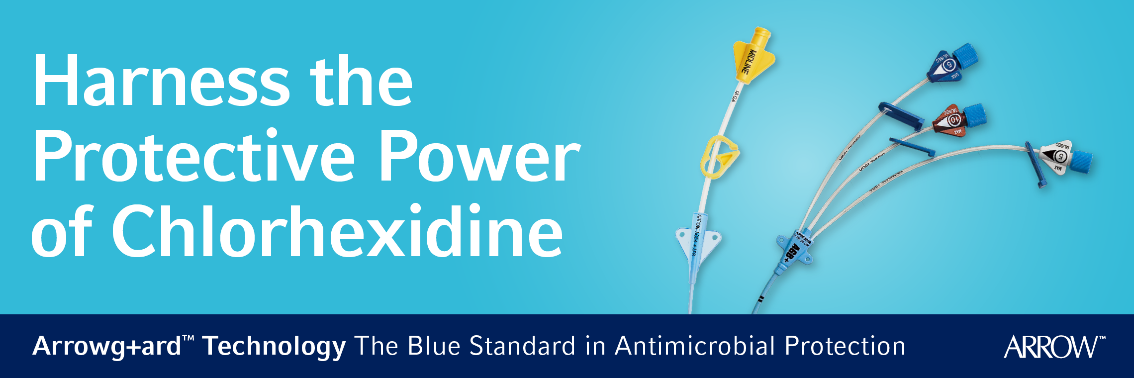 Arrowgard-Blue-Plus-CVC