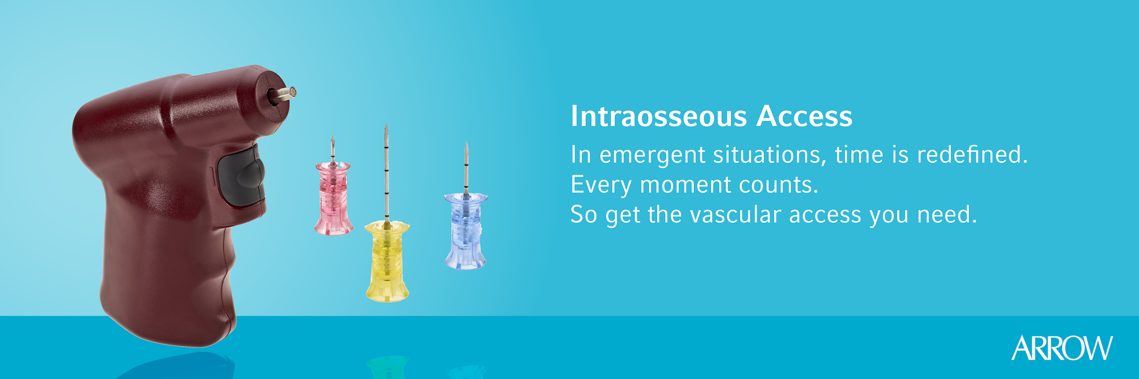 emea - vascular access - 3 - french banner