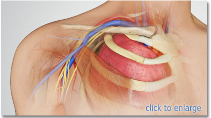 right subclavian