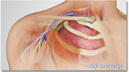 right axillary