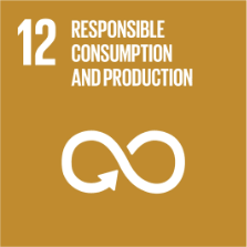 Responsible Consumption Logo