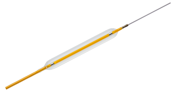 Pantera Leo product image