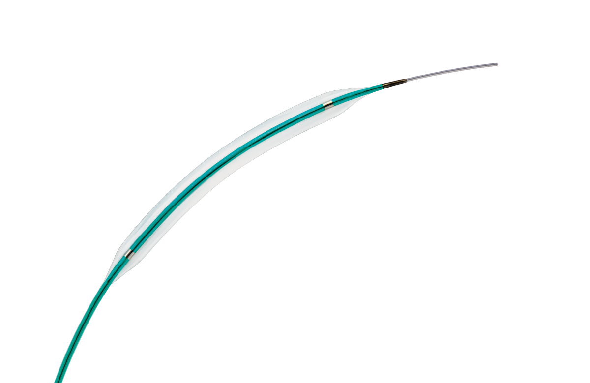 Pantera Leo product image