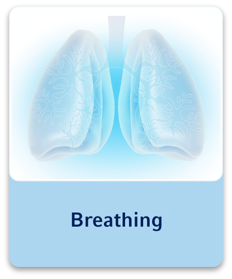 la - breathing