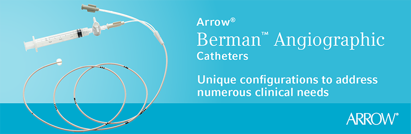 Arrow Berman Angiographic Catheters image